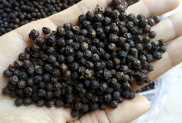 Tiêu Đen Hạt